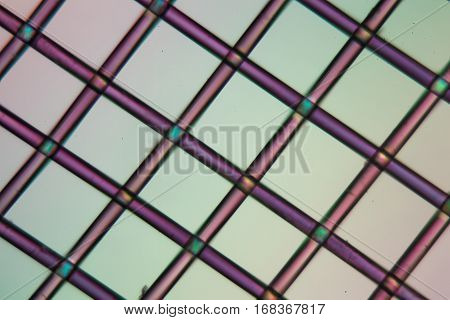 A net of polylactic acid under the microscope and in polarized light. Polylactic acid is a bioactive and biodegradable polymer made of renewable resources.