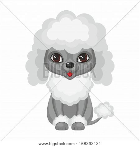 Poodle. Vector image of a cute purebred dogs in cartoon style.