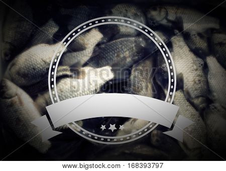 items for fishing, has a template for your logo, vintage effect