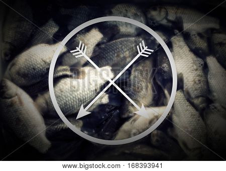 items for fishing, has a template for your logo, vintage effect
