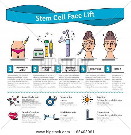 Vector Illustrated set with cosmetology stem cell facelift. Infographics with icons of medical cosmetic procedures.