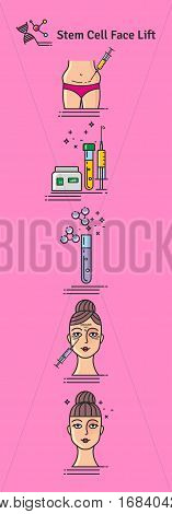 Vector Illustrated set with cosmetology stem cell facelift. Infographics with icons of medical cosmetic procedures.