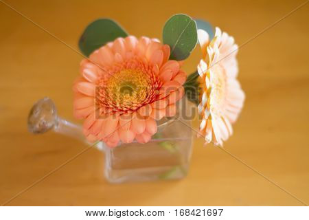 orange garbera flower on a table .