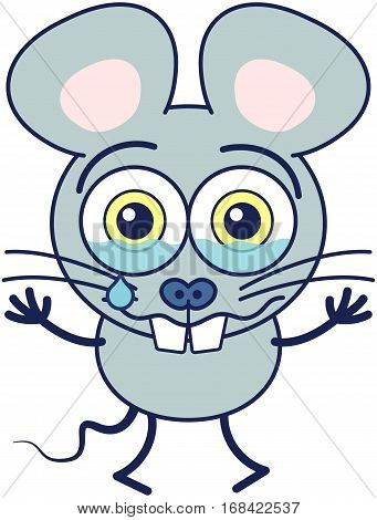 Cute gray mouse in minimalistic style with huge rounded ears, bulging eyes and big teeth while crying bitterly and showing a very sad and dispirited mood