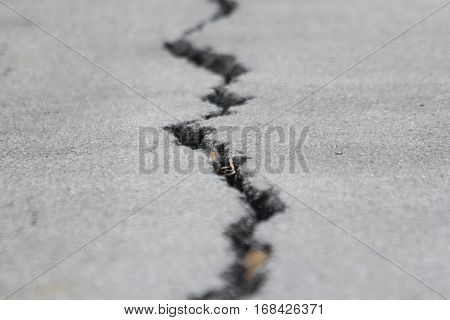 Picture is close-up to the road surface cracks