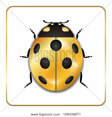 Ladybug Gold Insect Small Icon