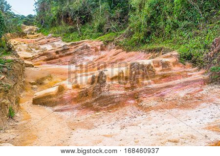 The Colorful Footpath
