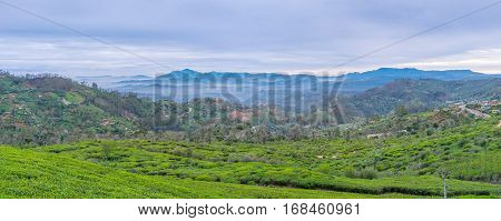 The Misty Morning In Mountains