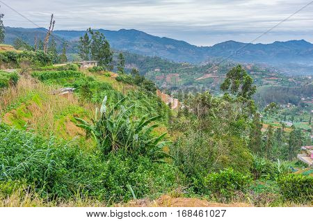 Nature Of Mountain Land