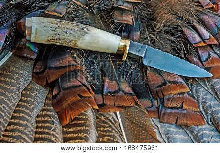 Fixed blade damascus knife displayed on turkey feathers
