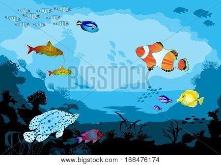 Ocean underwater world with tropical animals vector illustration