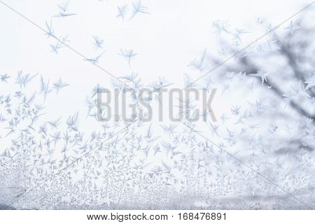 Frosted glass at -5 Celsius degrees. Winter at the Krasnodar, south Russia.