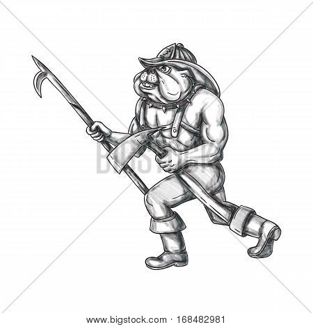 Tattoo style illustration of a bulldog firefighter holding pike pole and fire axe walking viewed from the side set on isolated white background.