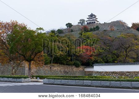 Marugame Castle at autumn