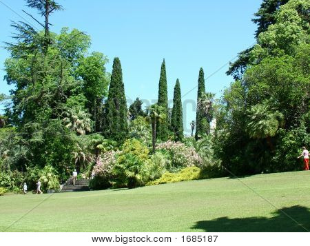 tropische Stadtpark
