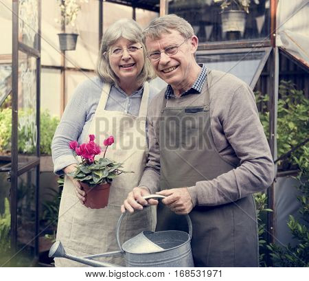 Mature Pottery Green Nature Gardening