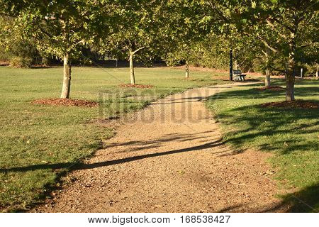 gravel, unpaved path through park at sunset