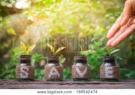 Close up of hand nurturing and watering a young plants in the glass bottle on old wooden table for business investment growth or saving concept