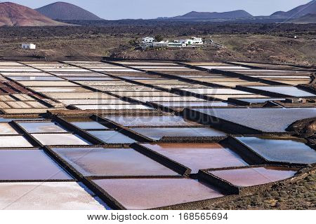 Salinas De Janubio