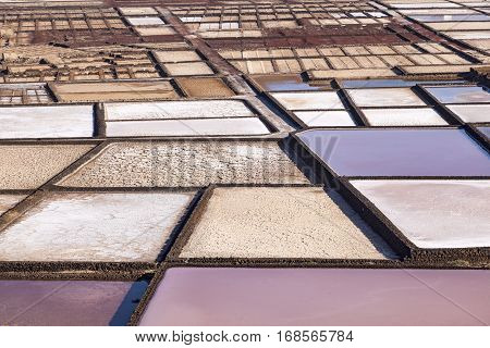 Salinas De Janubio