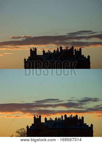 roof silhouette of a castle from a farytale