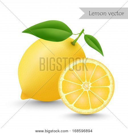 Lemon vector isolated on white background. Half lemon.