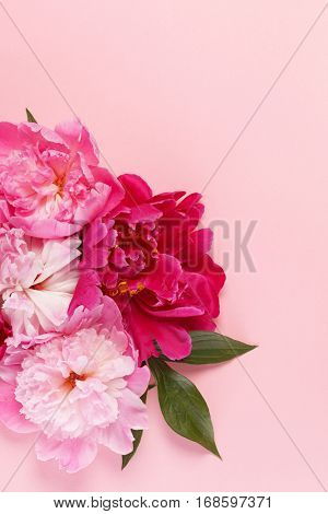 nice peonies