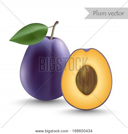 Plum vector isolated on white background. Half plum.