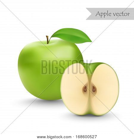 Green apple vector isolated on white background. Half apple.