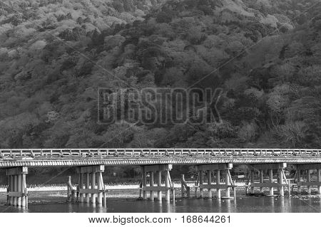 Black and White Togetsukyo bridge pass through Arashiyama forest during Autumn season Japan
