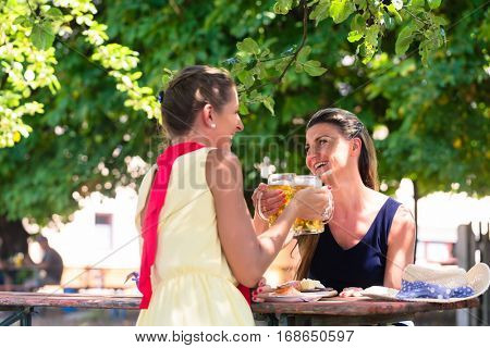 Women in beergarden having refreshment sitting under tree in the shade as it is hot