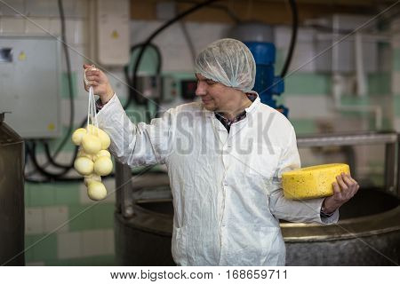 worker on the production of cheese at the dairy small with heads of cheese small business concept and production