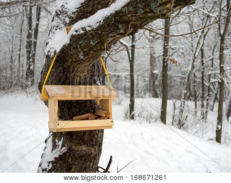 Empty bird feeder in a cold winter forest