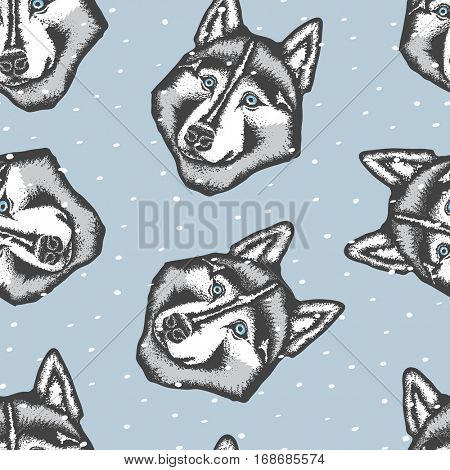 Vector dog concept. Hand draw Siberian husky dog vector illustration seamless pattern