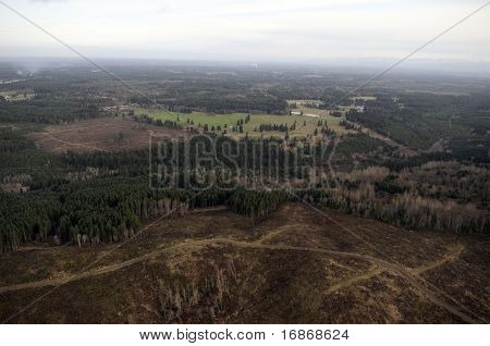 Metsän hakkuun