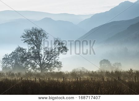 Beautiful Foggy Misty Autumn Sunrise Over Countryside Surrounding Crummock Water In Lake District In