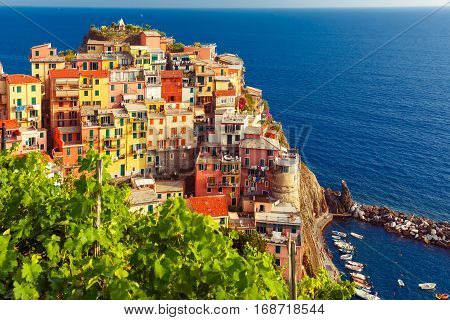 Aerial view of Manarola fishing village in Five lands, Cinque Terre National Park, Liguria, Italy.