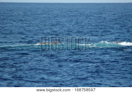 Landscape of the islanders of Formigas, Azores, Portugal