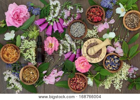 Naturopathic flower and herb selection used in natural alternative herbal medicine on oak background.