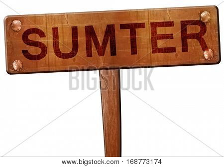 sumter road sign, 3D rendering