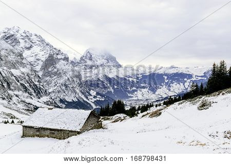 The view point of the Alps Mountains in winter Grindelwald Switzerland.