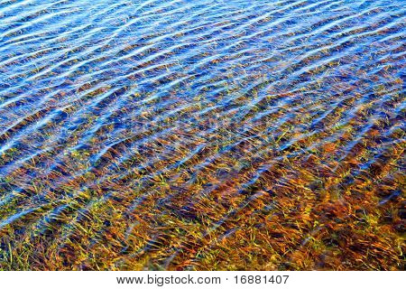 Pure water close up. Shoal in a Radbuza River, Czech Republic, Europe.