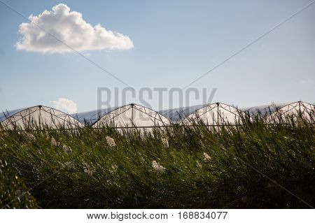 View of greenhouses in the field on sunny day