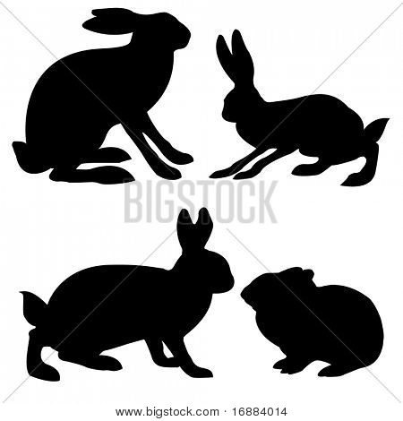 silhuetter hare og pika