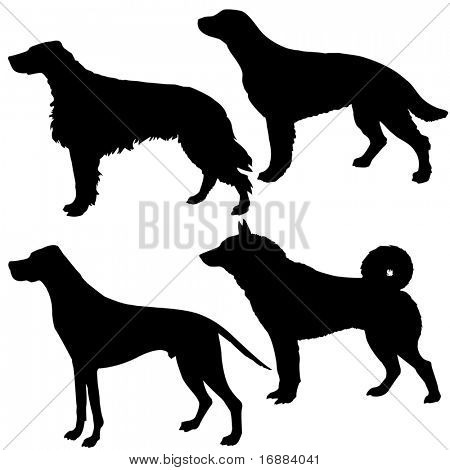 silhouetten van de honden