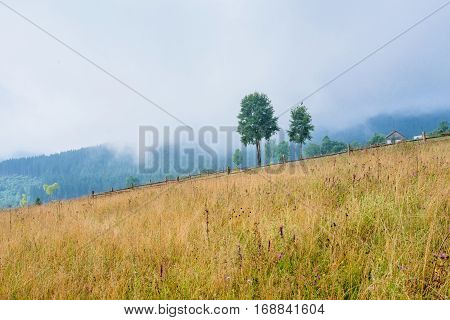 Beautiful sunny day is in mountain landscape.