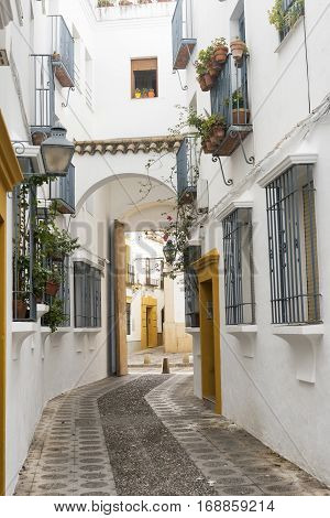 Cordoba (Andalucia Spain): old typical street in the Juderia with plants and flowers