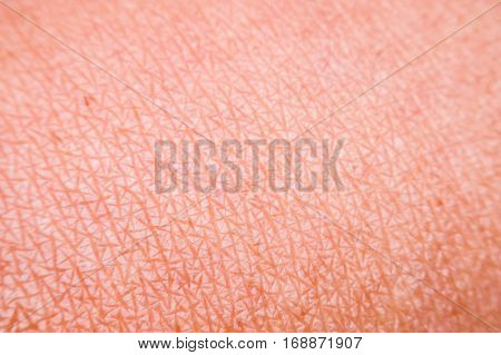Human skin texture for healthy background concept