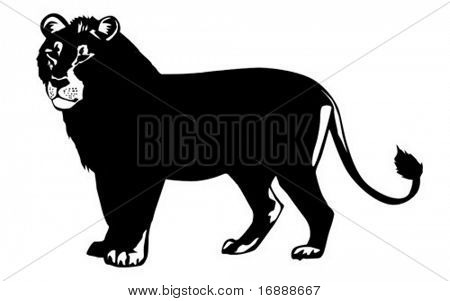 Leone illustrazione vettoriale su sfondo bianco