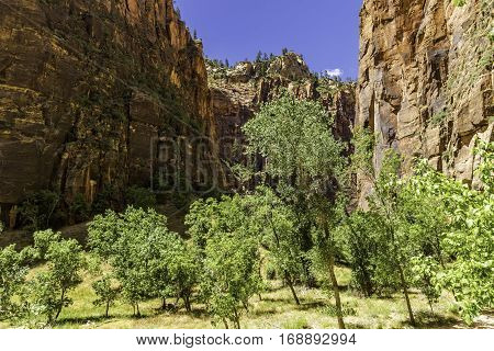 Utah Box Canyon in Zion National Park